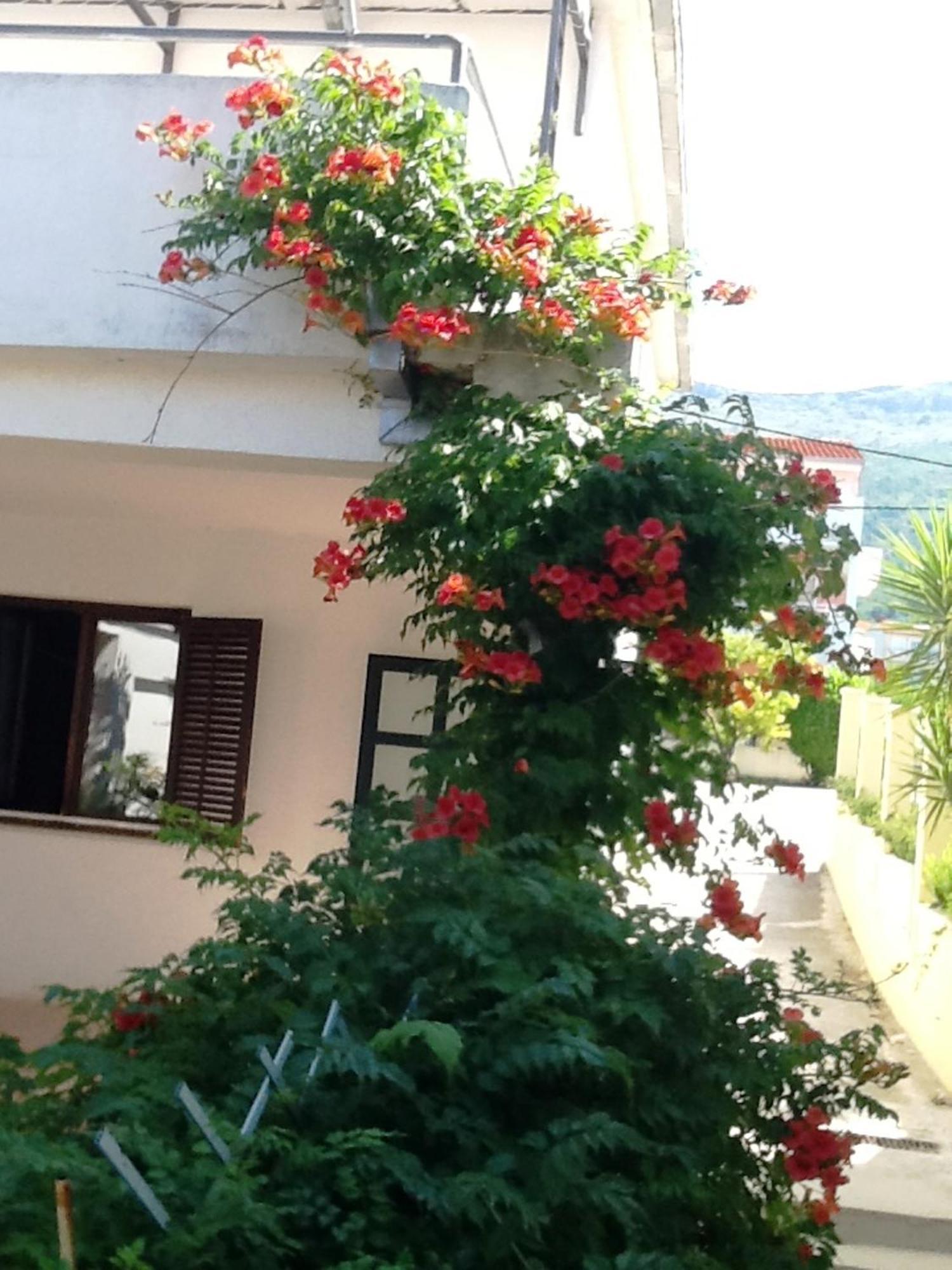 Villa Tamaris On The Beach โปดสตรานา ห้อง รูปภาพ